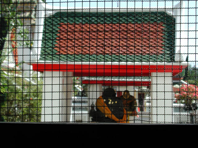 aae