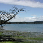 Westcott Bay