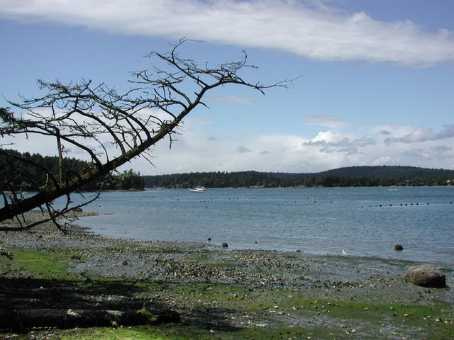 Westcott Bay