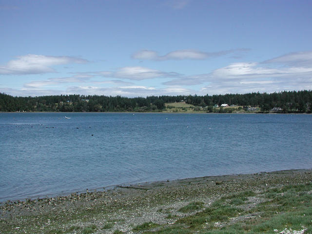 Friday Harbor