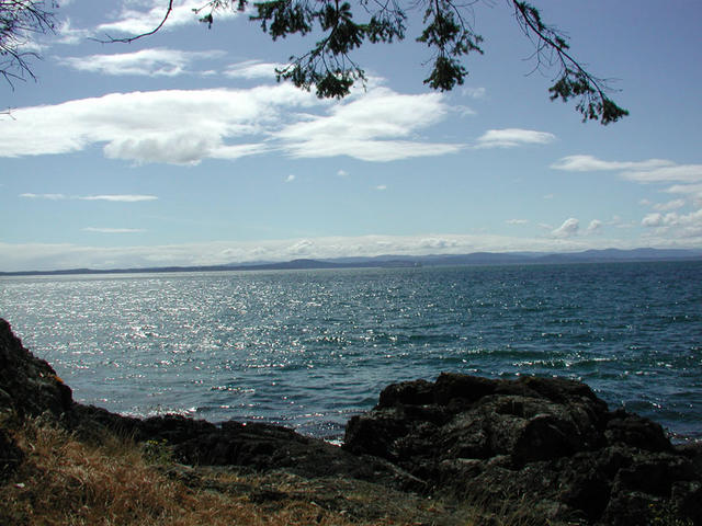 Scenic Ocean