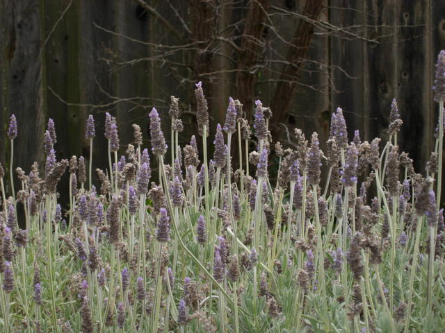 An exercise in getting the correct focus.